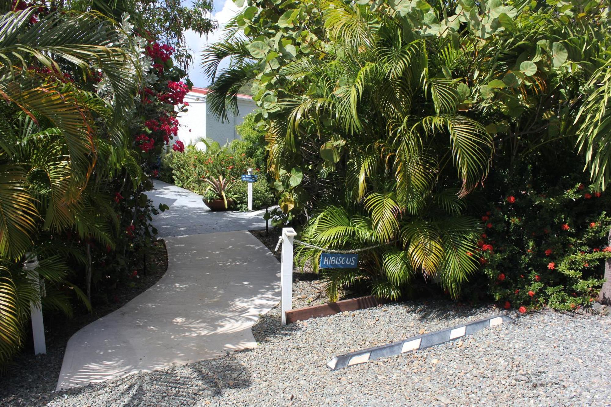 Beautiful Honeymoon Suite at Sunset Serenade Cruz Bay Buitenkant foto